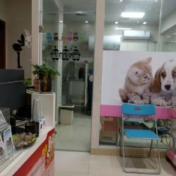 洪星1998寵物店詳細(xì)信息 電話、地址、價(jià)格、營業(yè)時(shí)間及圖片